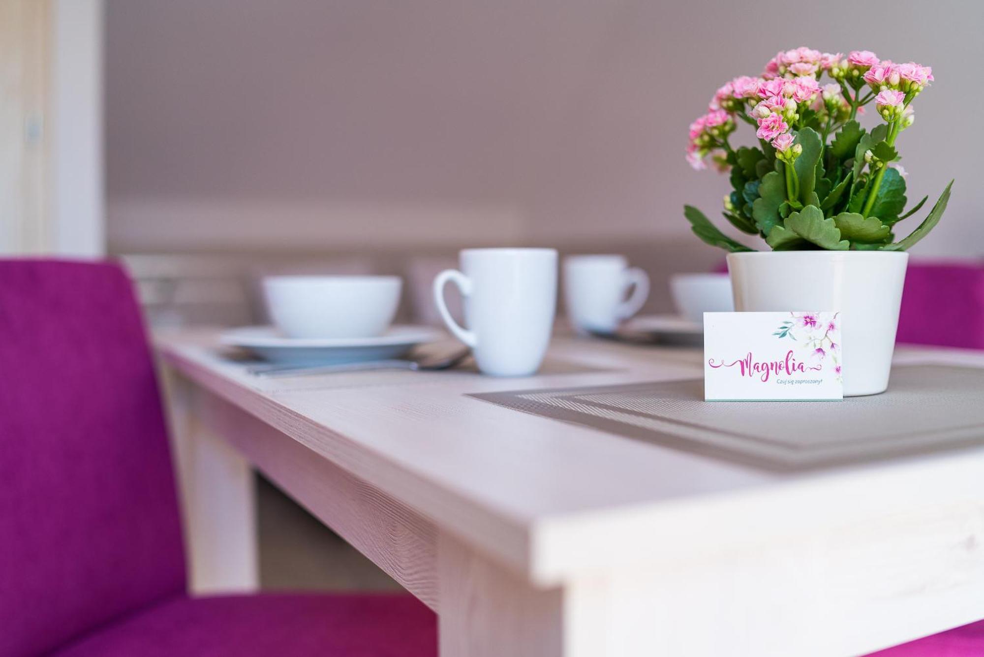 Magnolia Pokoje I Apartamenty Dębki Zewnętrze zdjęcie